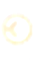 German Design Award