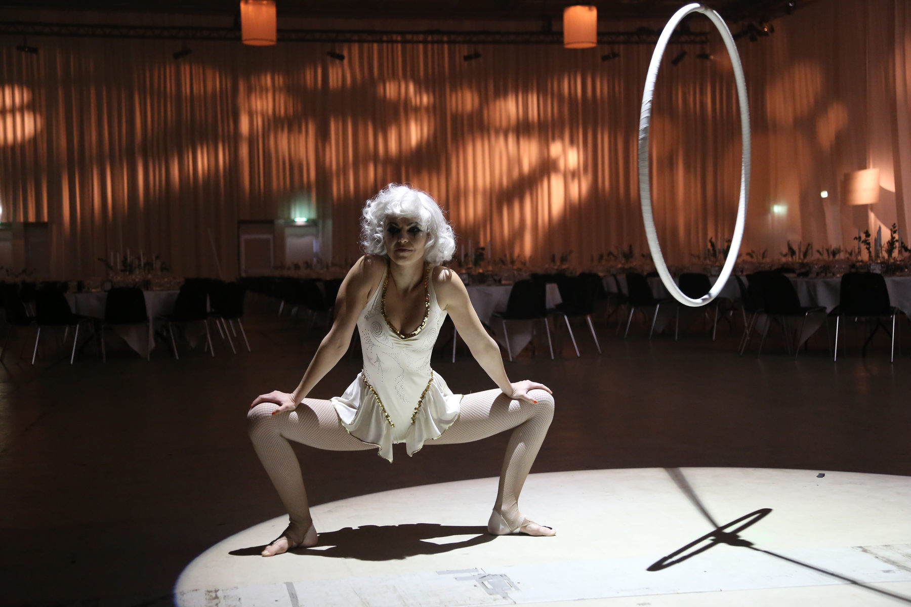 Dinnershow, billede 10