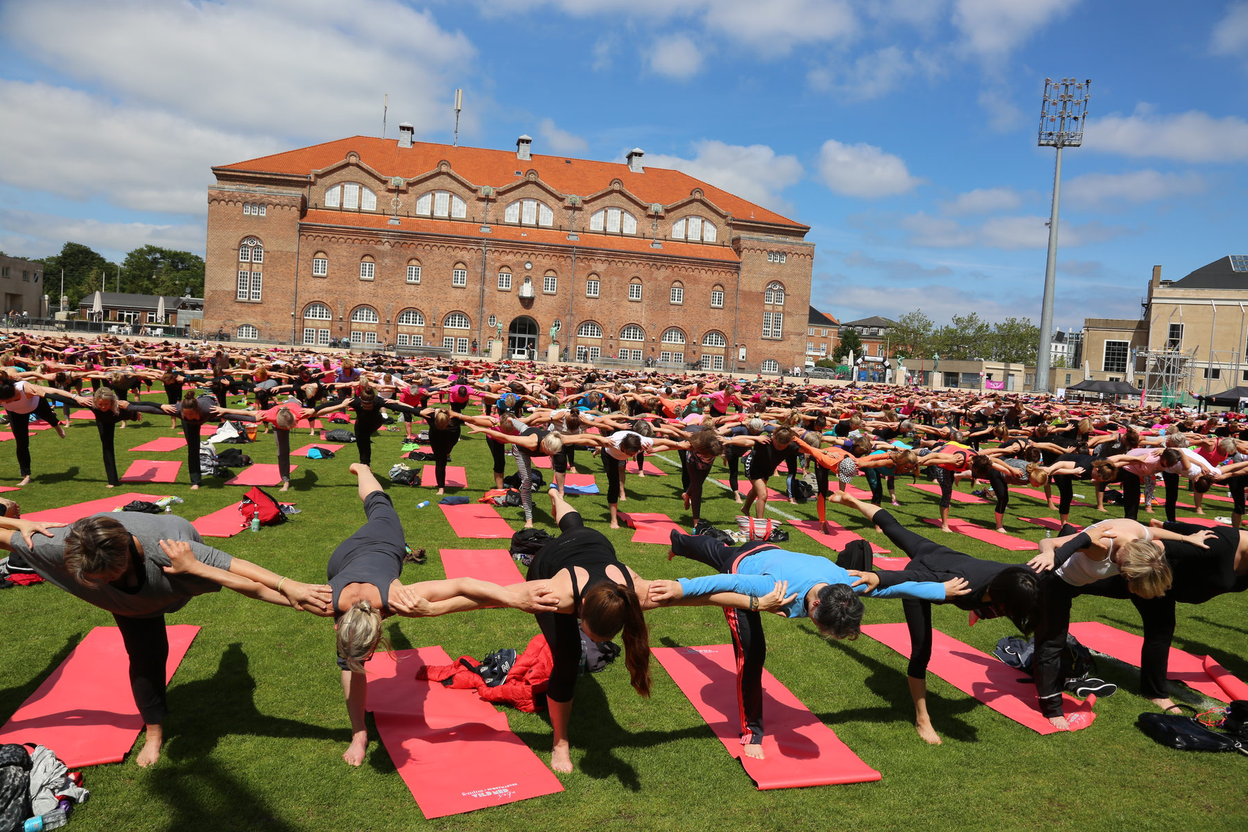 Vild med yoga, billede 3