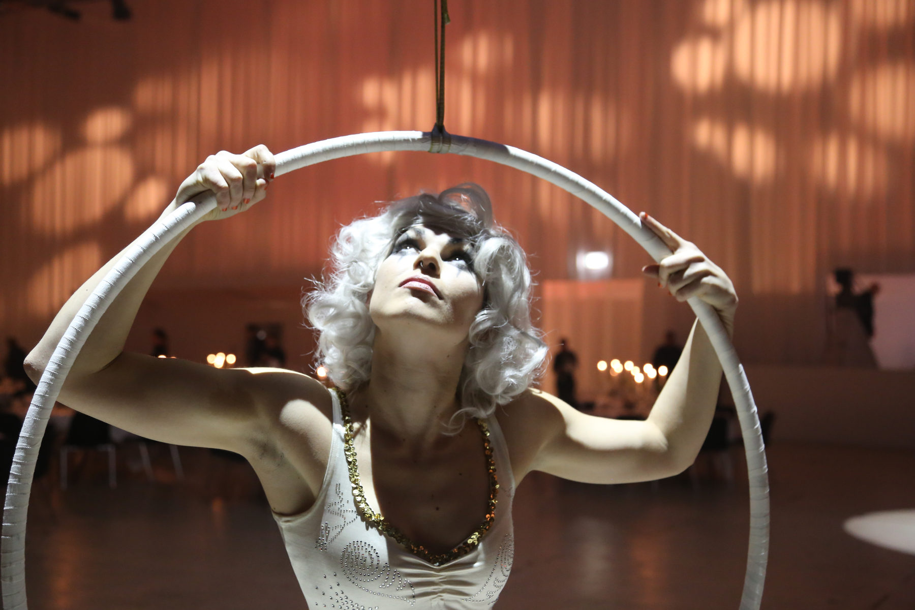 Dinnershow, billede 7